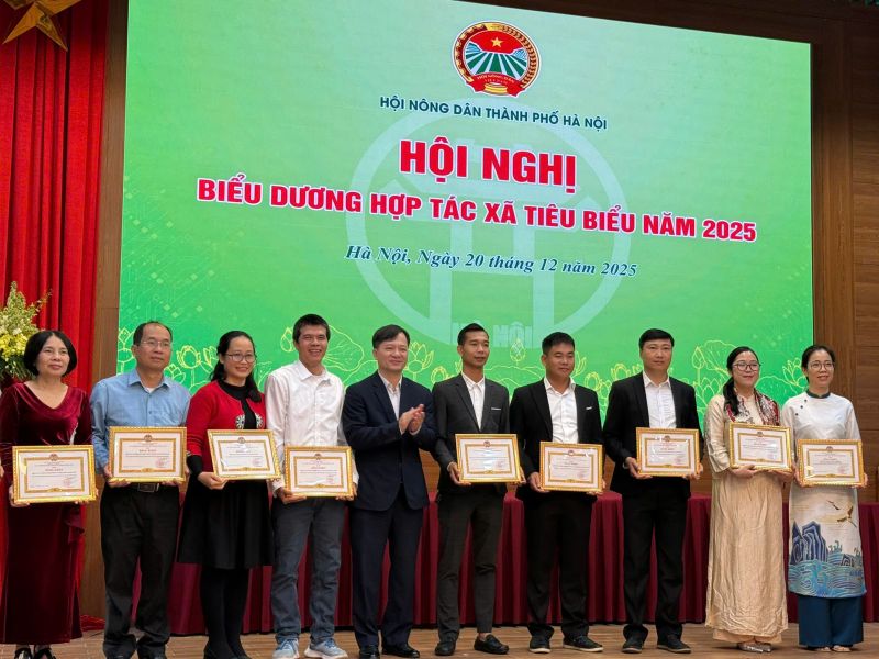 Hợp t&aacute;c x&atilde; N&ocirc;ng nghiệp v&agrave; Sản xuất Kh&aacute;nh L&acirc;m được vinh danh Hợp t&aacute;c x&atilde; ti&ecirc;u biểu năm 2025